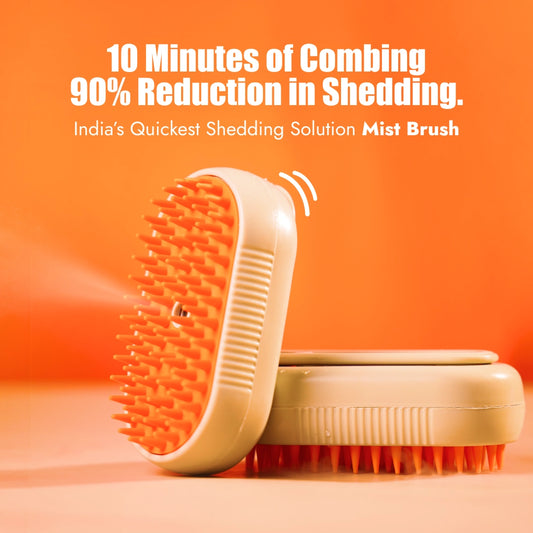 Steamer Brush