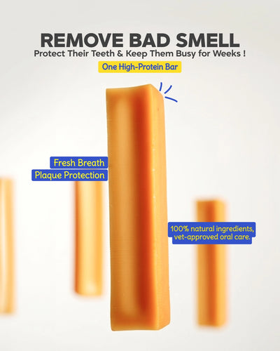 Cheese Dental Cleansing Stick