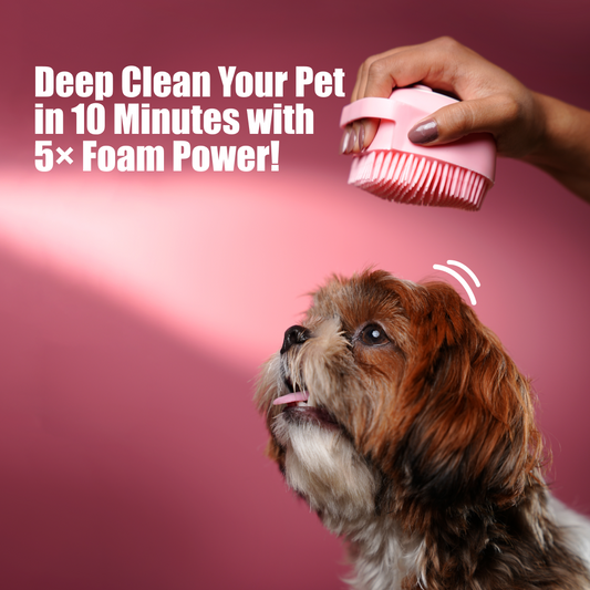 Silicone Dog Bath Brush