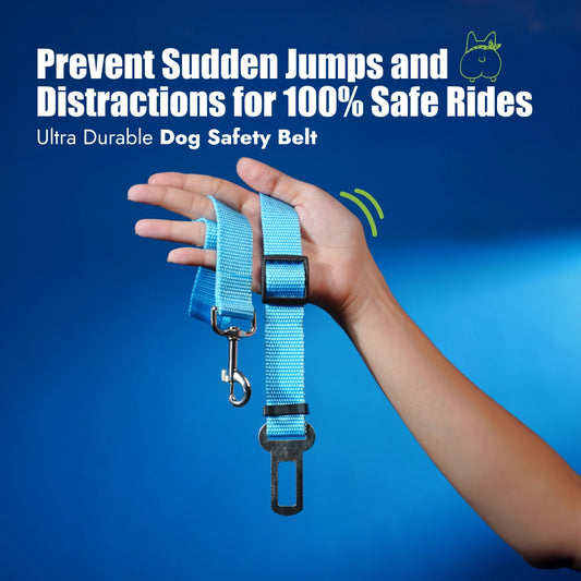 India’s 1st Ultra Durable Dog Saftey Belt
