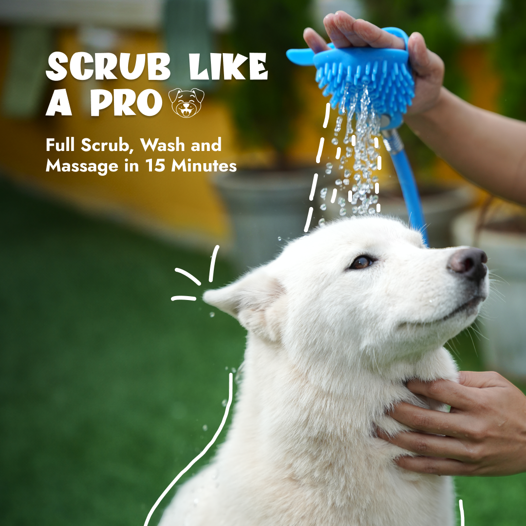 3-in-1 Pet Shower Kit