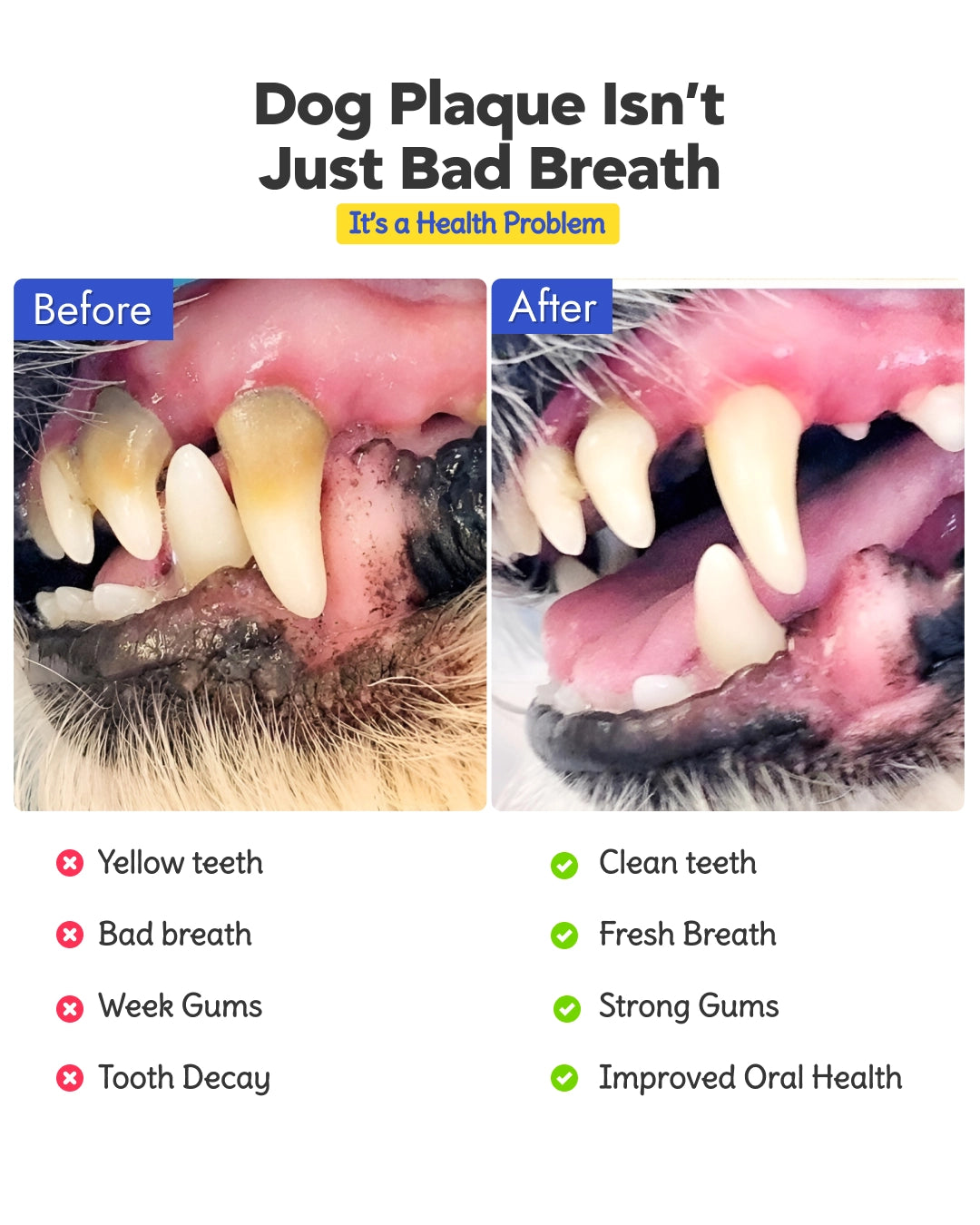 Cheese Dental Cleansing Stick