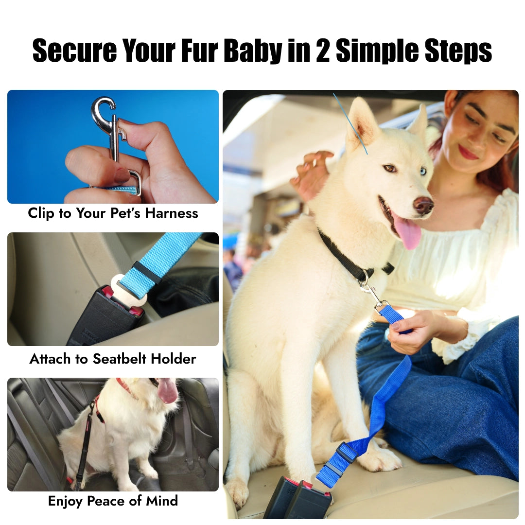 India’s 1st Ultra Durable Dog Saftey Belt