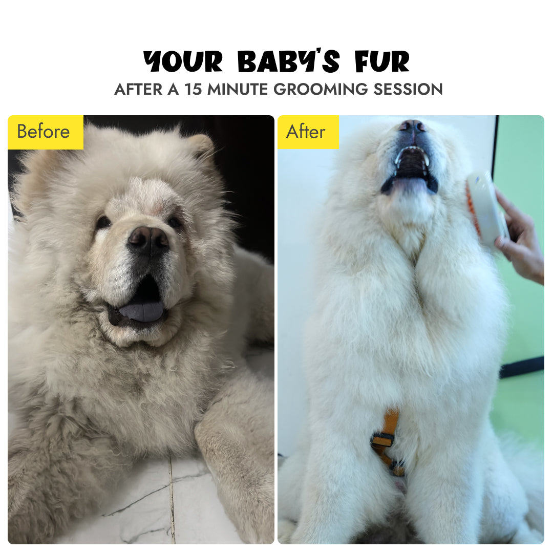 Shedding Solution Kit