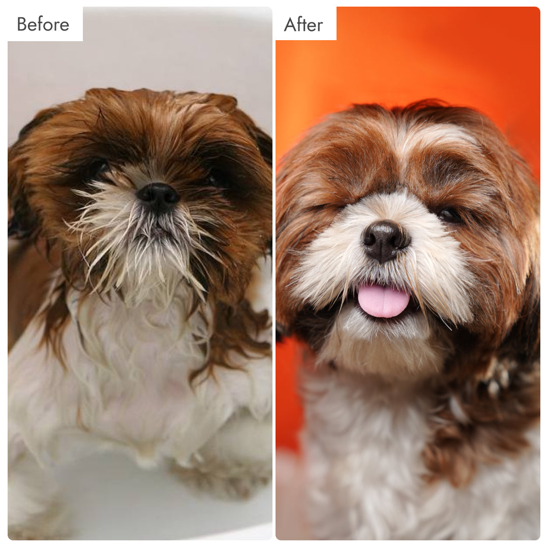 Silicone Dog Bath Brush