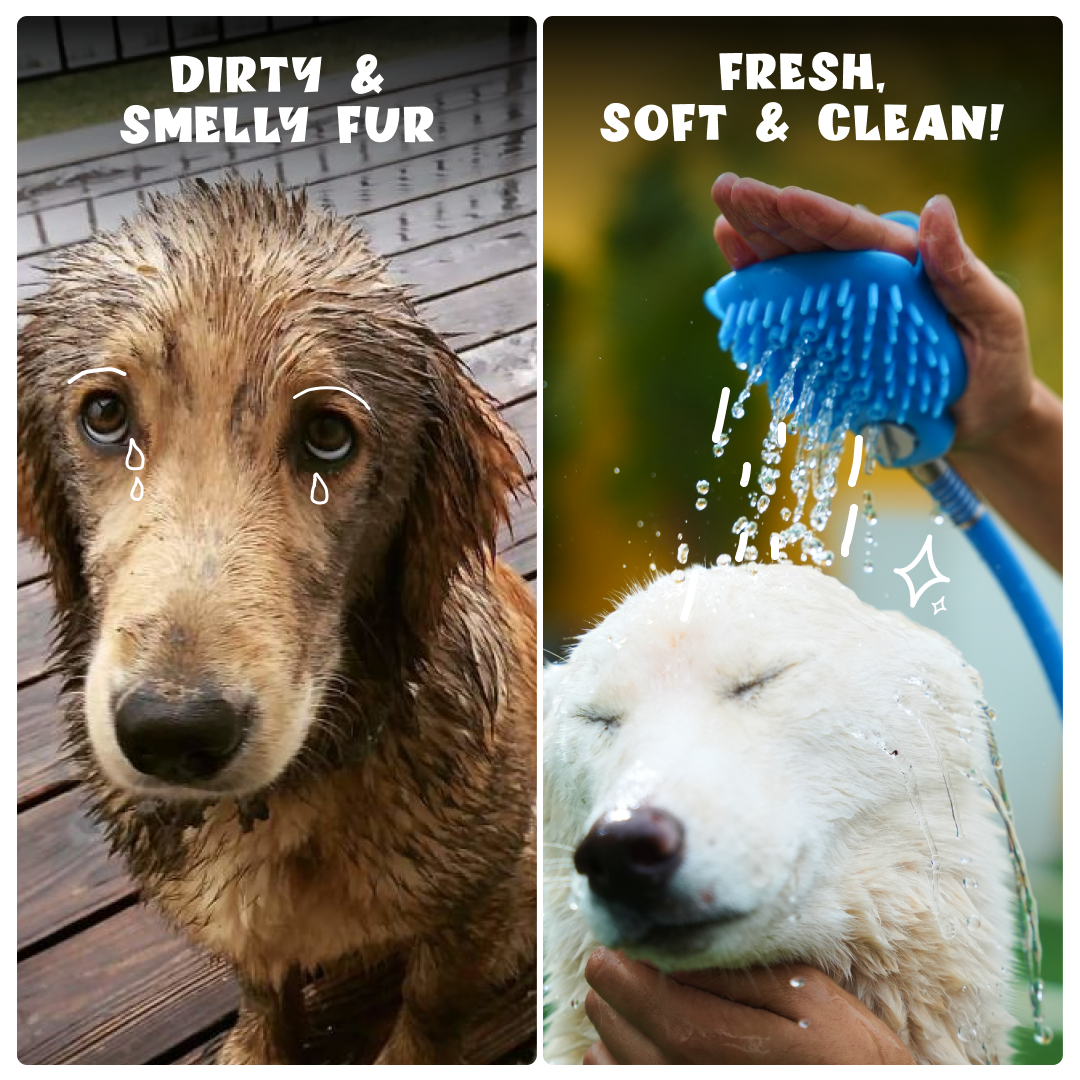 3-in-1 Pet Shower Kit