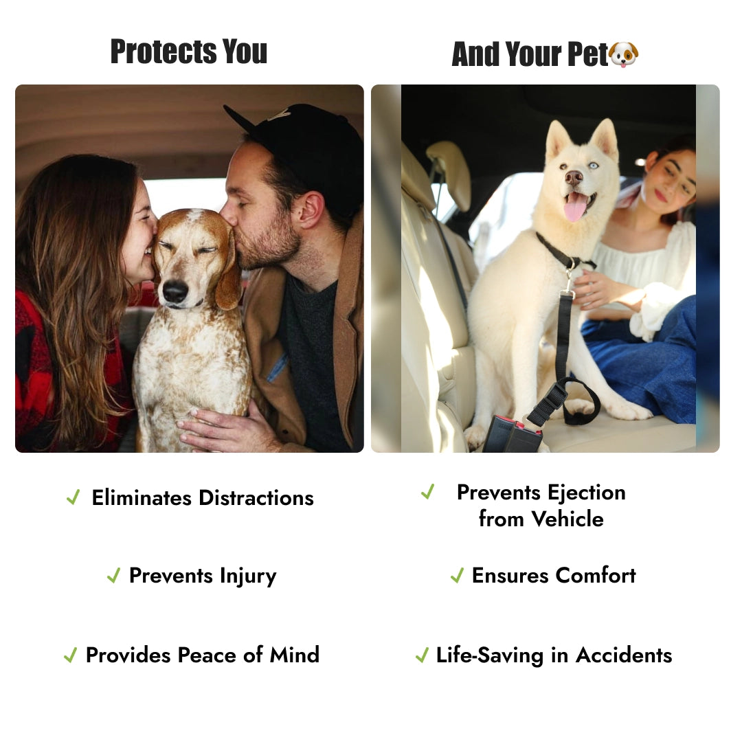 India’s 1st Ultra Durable Dog Saftey Belt