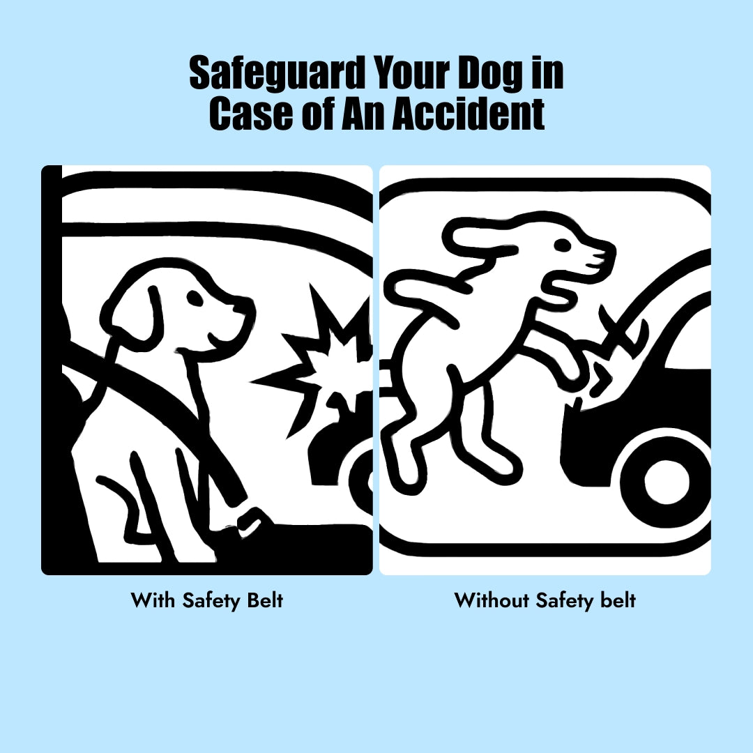 India’s 1st Ultra Durable Dog Saftey Belt