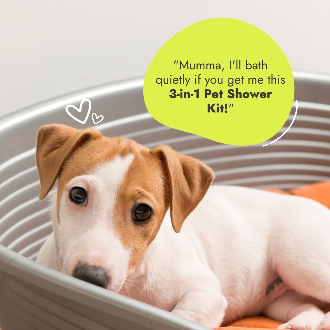 3-in-1 Pet Shower Kit