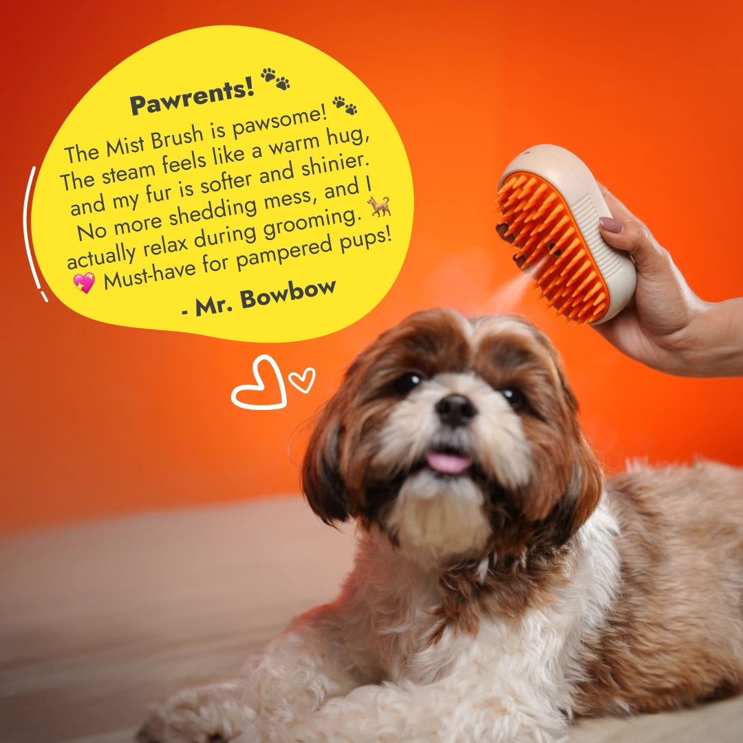 Steamer Brush