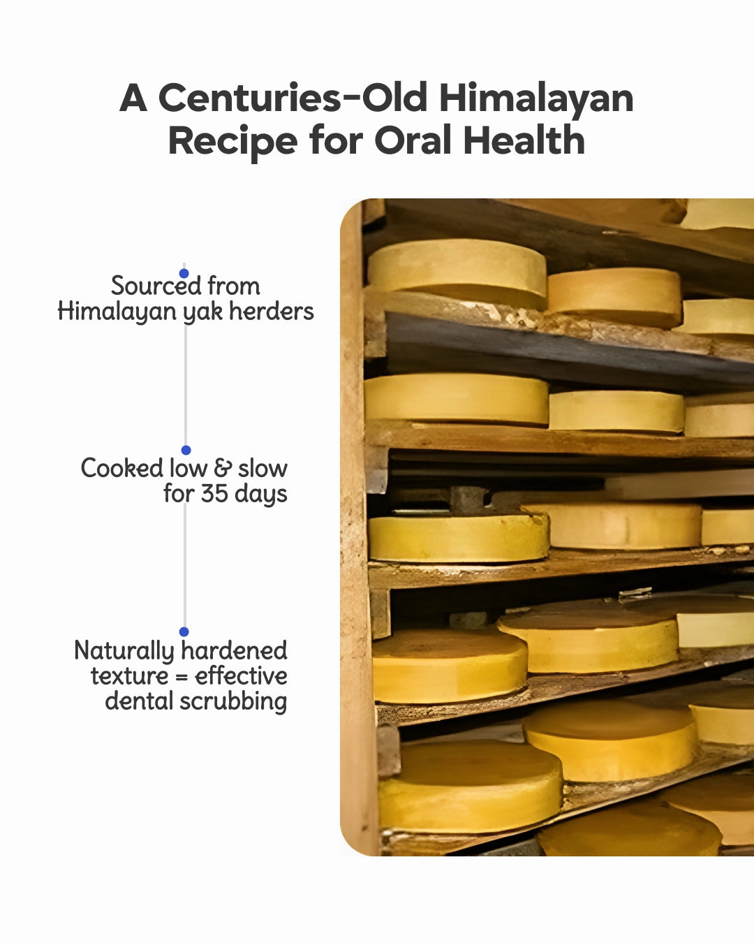 Cheese Dental Cleansing Stick