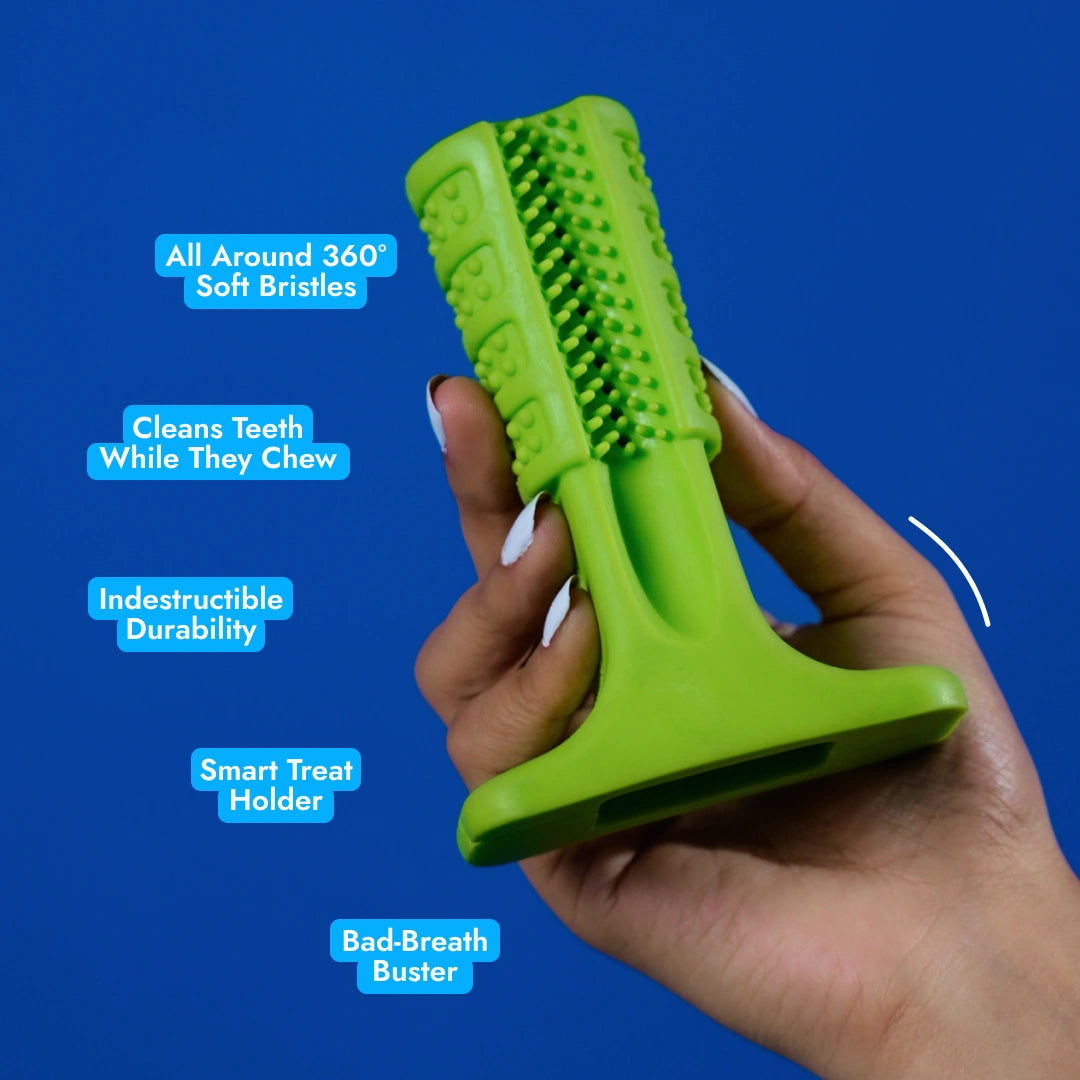 Intense Teeth-Cleaning Toy - Green