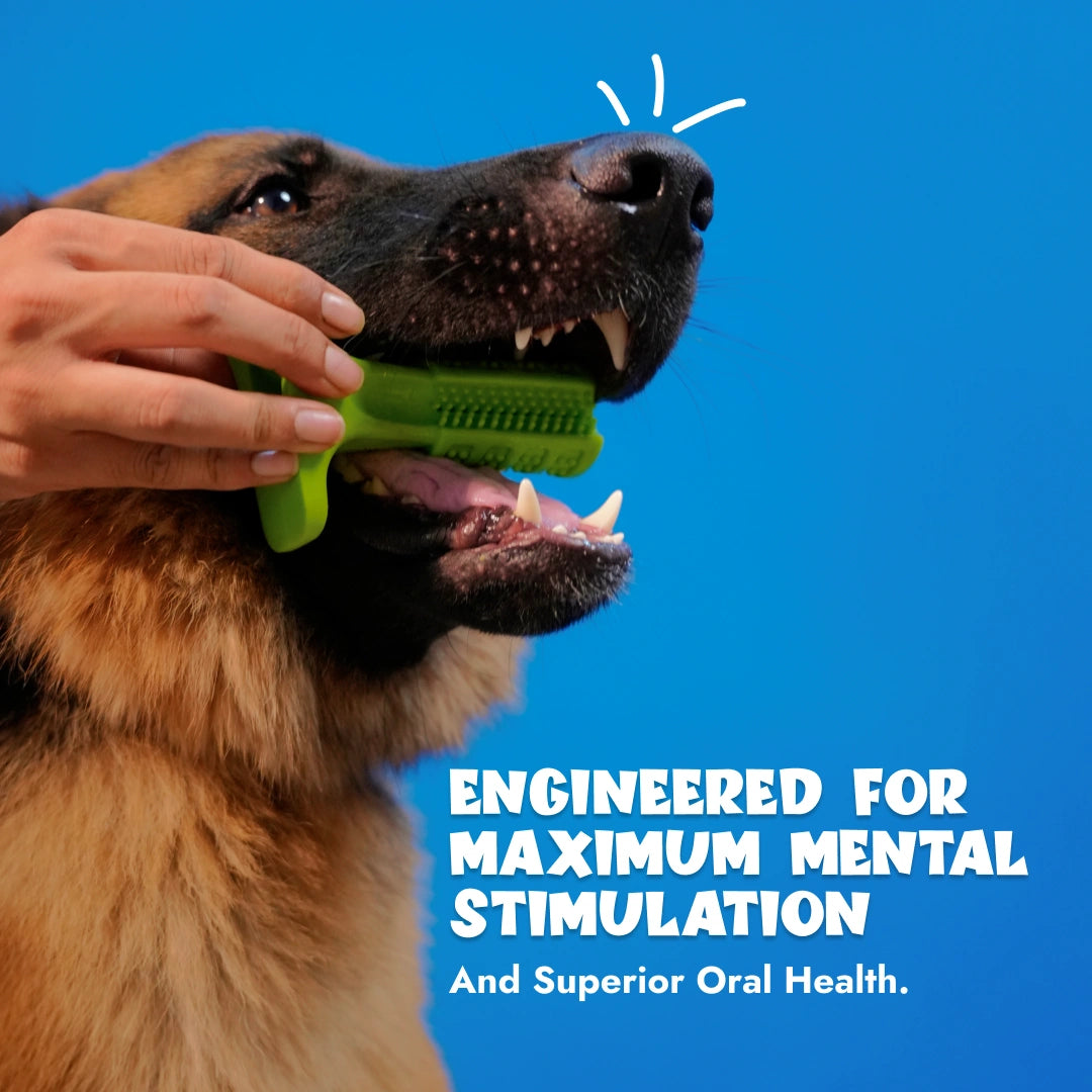 Intense Teeth-Cleaning Toy - Green