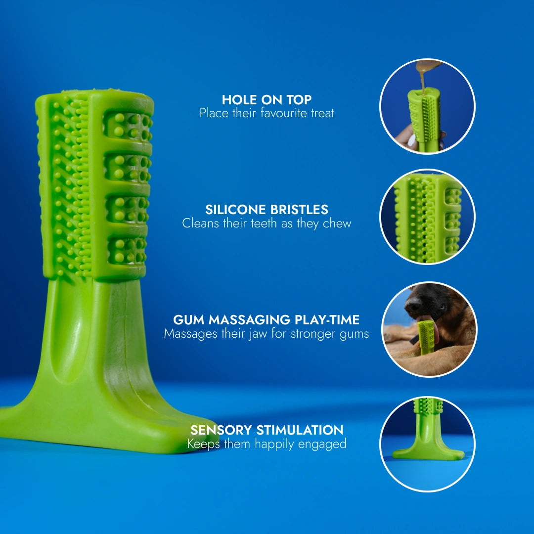 Intense Teeth-Cleaning Toy - Green