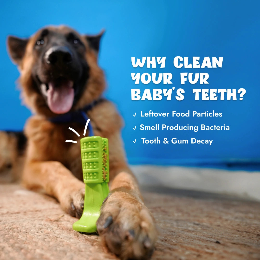Intense Teeth-Cleaning Toy - Green