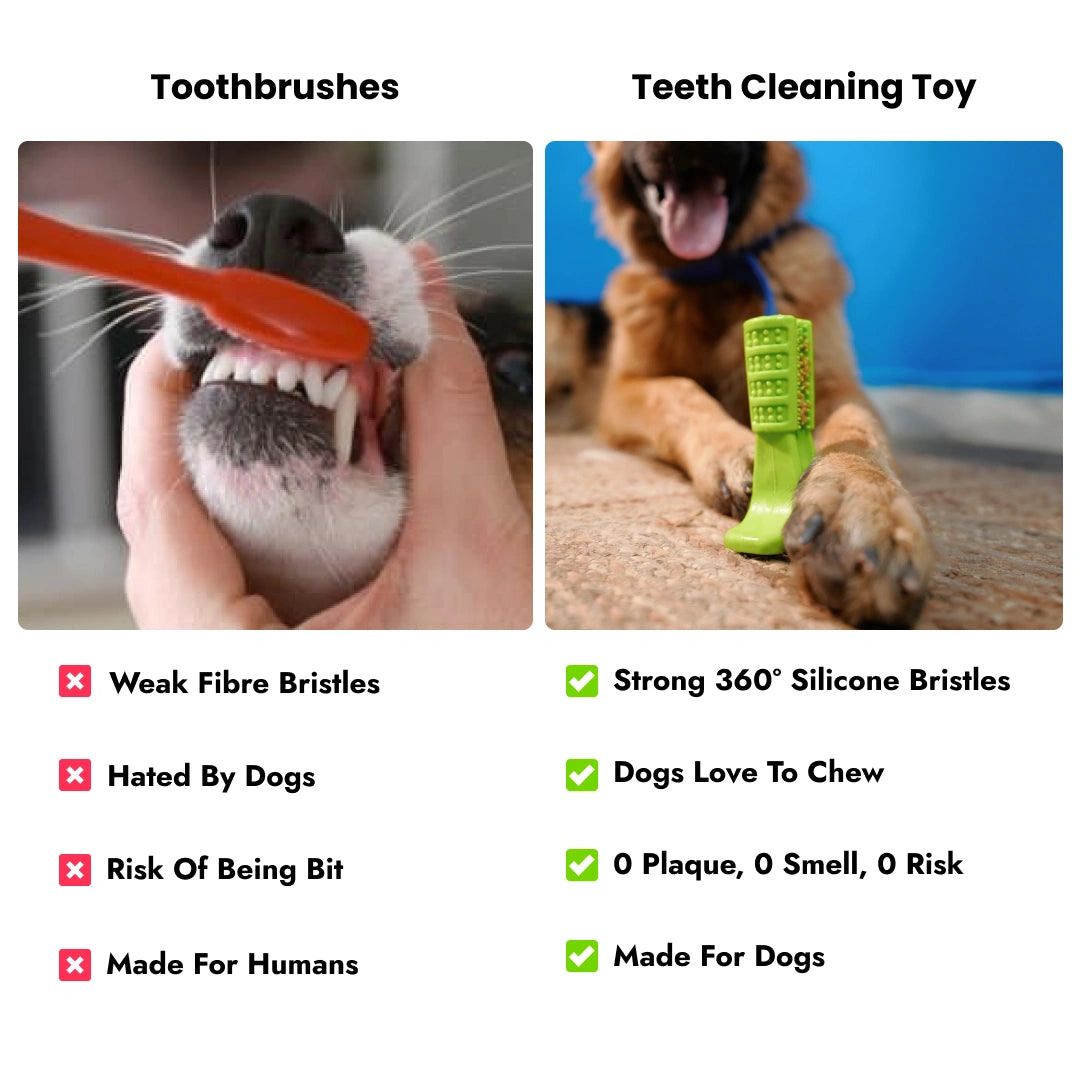 Intense Teeth-Cleaning Toy - Green