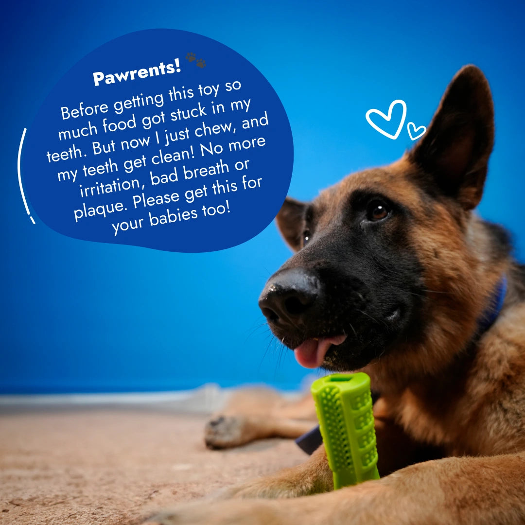 Intense Teeth-Cleaning Toy - Green