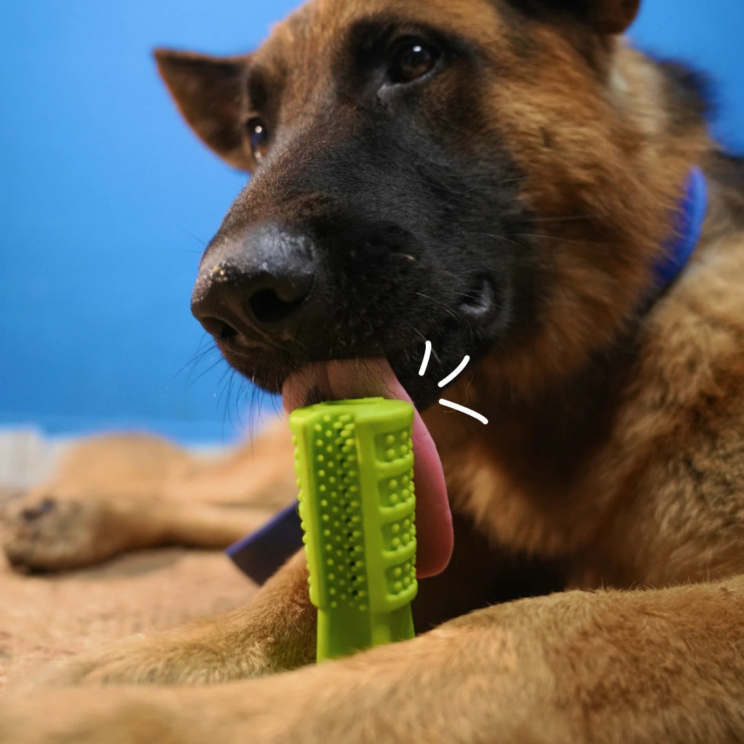 Intense Teeth-Cleaning Toy - Green